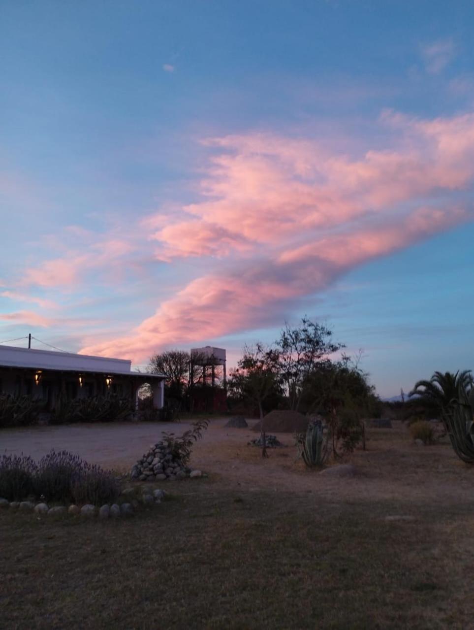 Texas Bed & Breakfast *