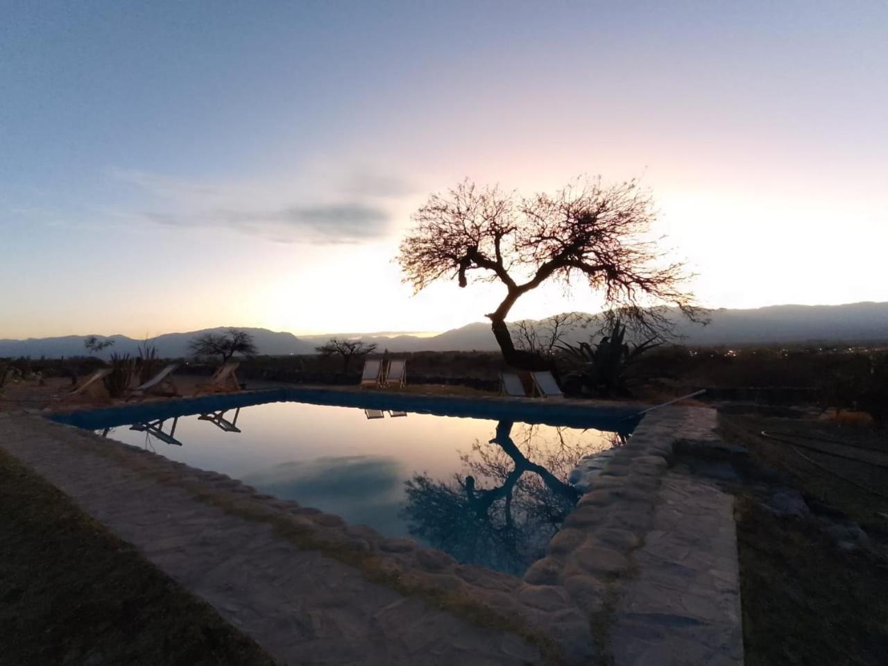 Texas Cafayate